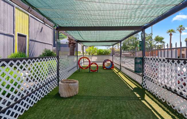 a large pergola provides shade for Pet play area