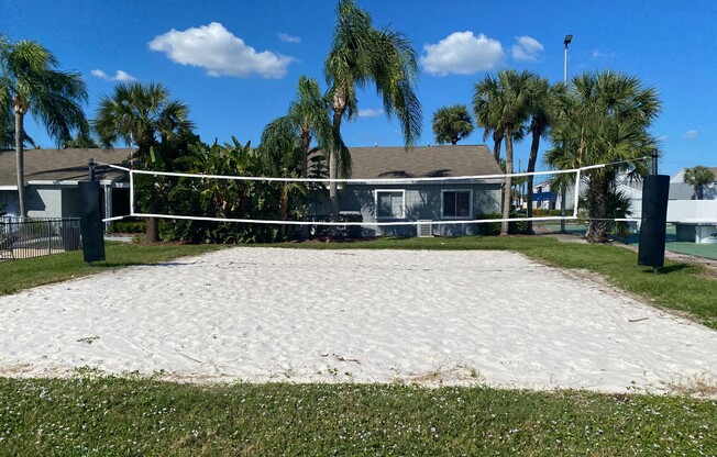 Volleyball Court