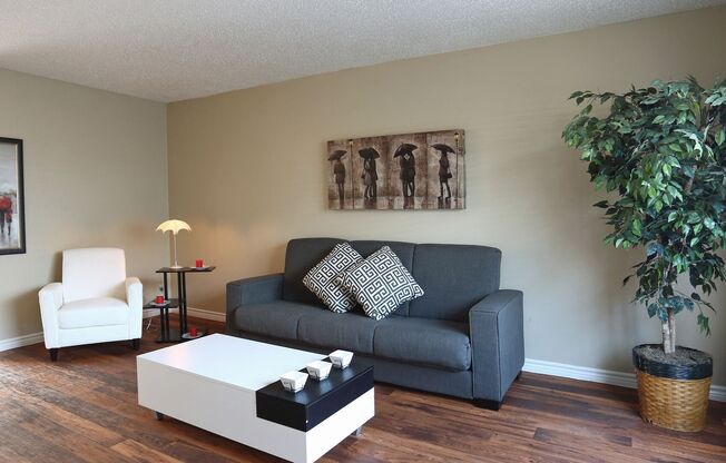 Lux Estate TX Apartments