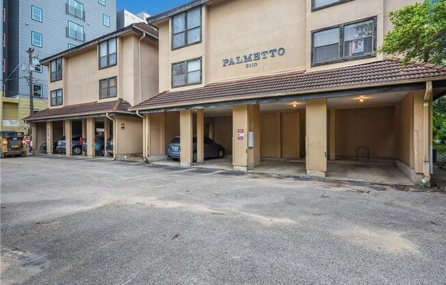 Palmetto #307