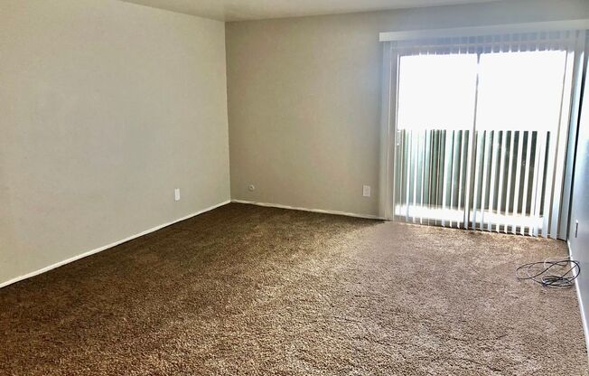 Studio, 1 bath, 445 sqft, $794, Unit 316