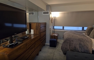 Studio, 1 bath, 537 sqft, $3,200, Unit 205