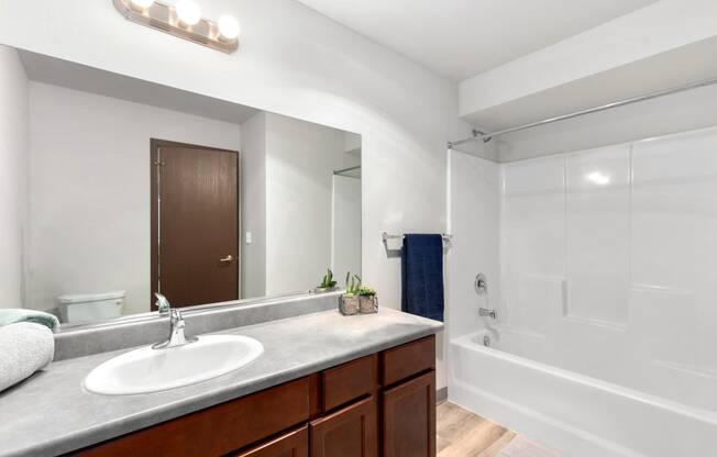 Pioneer Meadows Bathroom with Bathtub