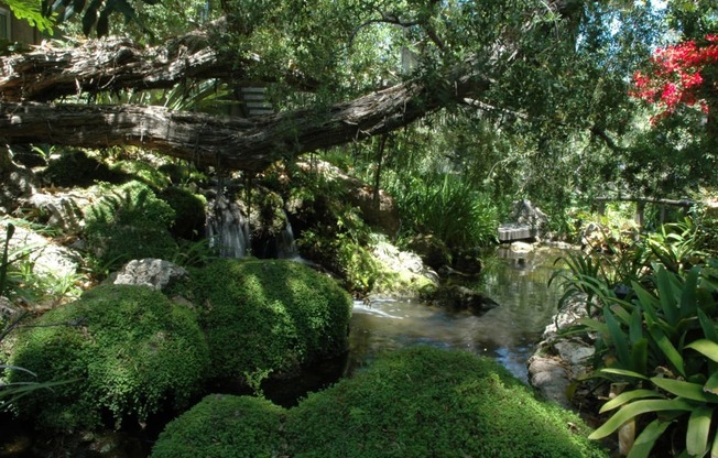 a moss covered tree over a stream in a garden