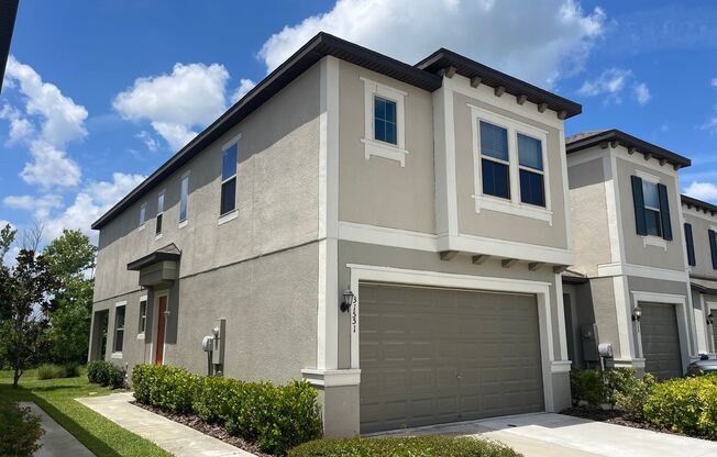 31551 Blue Passing Loop Wesley Chapel, FL 33545