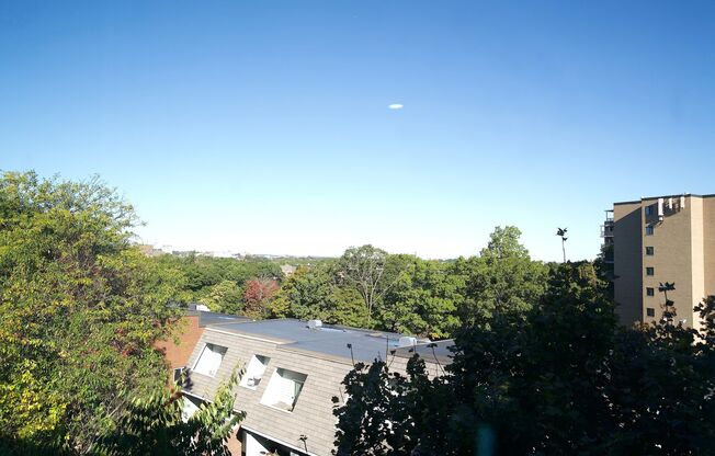 1 bed, 1 bath, 775 sqft, $2,400, Unit 76-6