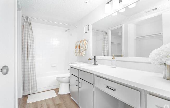 The Broadwater at Salado Creek Bathroom