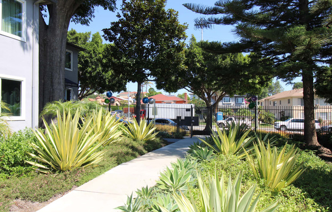 a sidewalk with trees and houses in the background