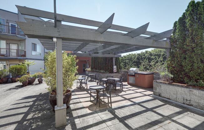 Studio, 1 bath, $1,495, Unit #145