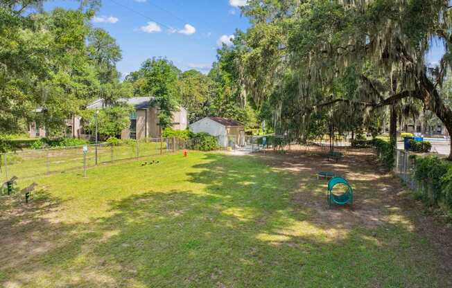 A grassy area with a swing set and trees.