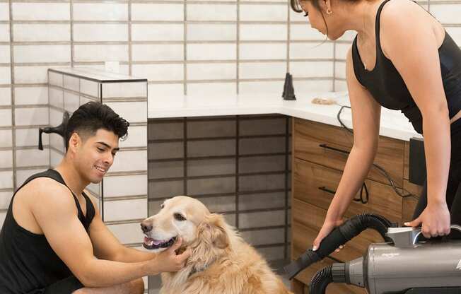 Dog Blow Dryer at Haven at Arrowhead Apartments in Glendale