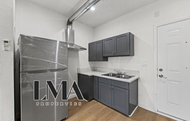 Studio, 1 bath, 500 sqft, $1,238, Unit 206
