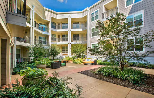 A courtyard with a tree and potted plants in front of apartment buildings.