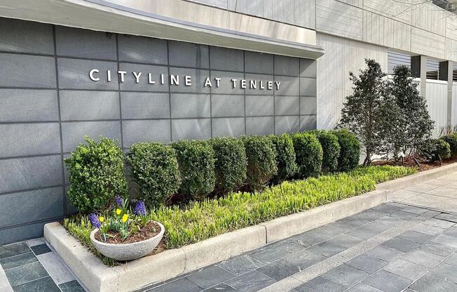 Luxury Living at Cityline at Tenley