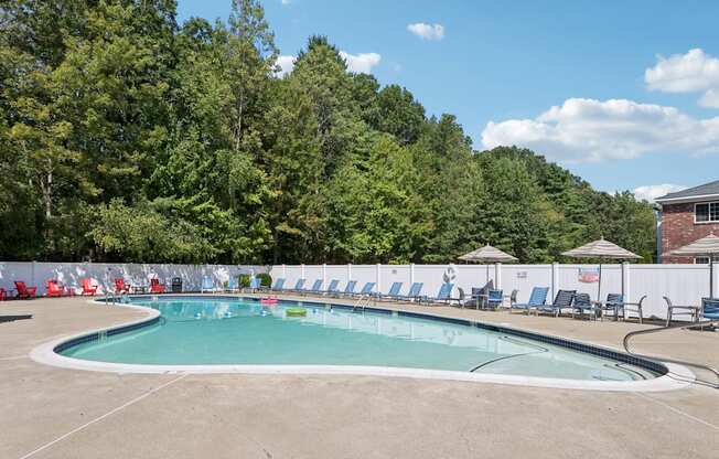 A large outdoor swimming pool surrounded by trees and lounge chairs.
