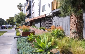 Front Entrance at Westwood Riviera Apartments, Los Angeles, 90024