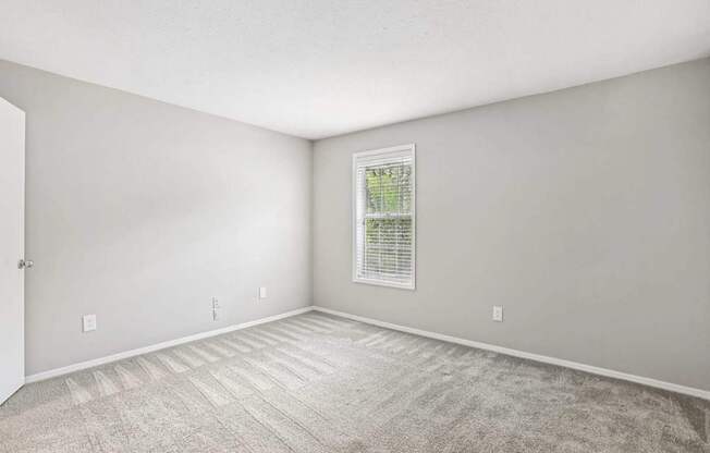A room with a carpeted floor and a window with blinds.