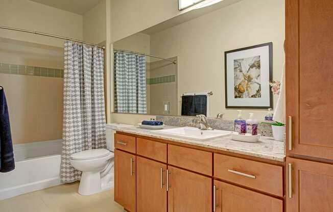 Elements at Briargate Bathroom Apartments in Colorado Springs, CO
