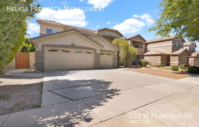 231 W FLAMINGO DR