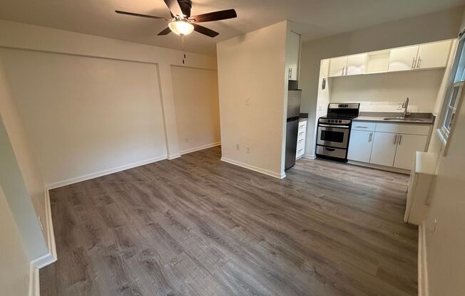 Studio, 1 bath, 374 sqft, $1,150, Unit 102