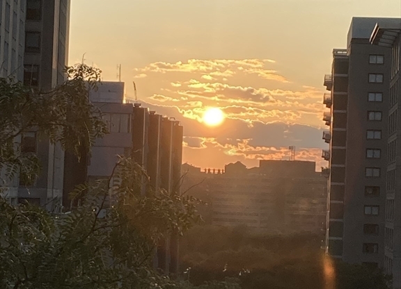 1 bed, 1 bath, 823 sqft, $3,600, Unit 7O