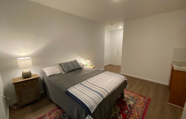 Studio, 1 bath, 180 sqft, $1,195, Unit 5101