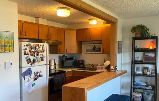 1 bed, 1 bath, 675 sqft, $1,400