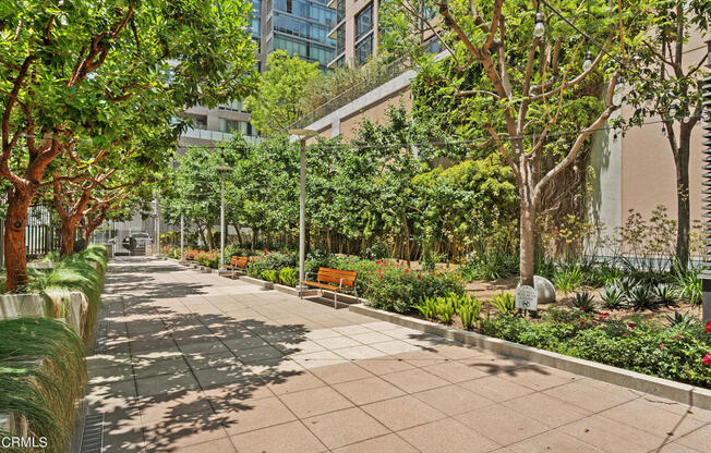 1 bed, 1 bath, 860 sqft, $3,000, Unit 914