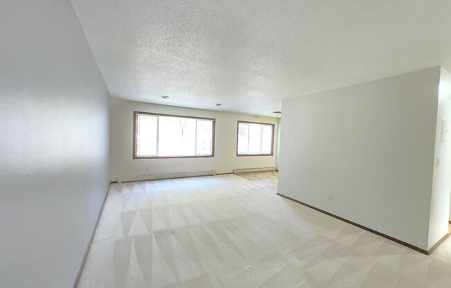 Spacious 1 Bed 1.5 Bath with Fresh Paint and Updated Plumbing in Western Sioux Falls