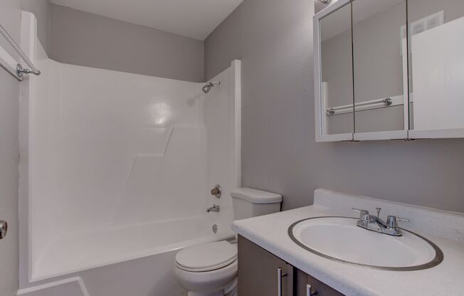1 bed, 1 bath, 543 sqft, $1,195, Unit 17