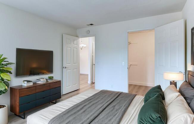 A modern bedroom featuring a bed with dark green pillows and a light-colored blanket. A wooden dresser with a TV sits against the wall, and there's a plant in the corner. Two doors are visible, one leading to a closet, and the walls are painted in a light shade, enhancing the room's spacious feel.