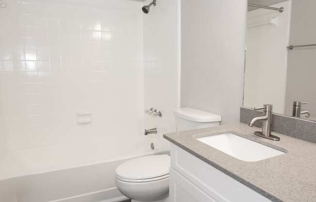 a bathroom with a sink and a toilet and a bath tub