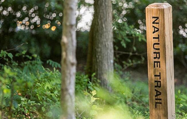 a wooden post with a sign in the woods
