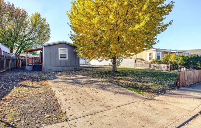 Cozy Home and Beautiful Spacious Yard