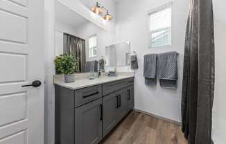 a bathroom with a sink and a mirror and a shower