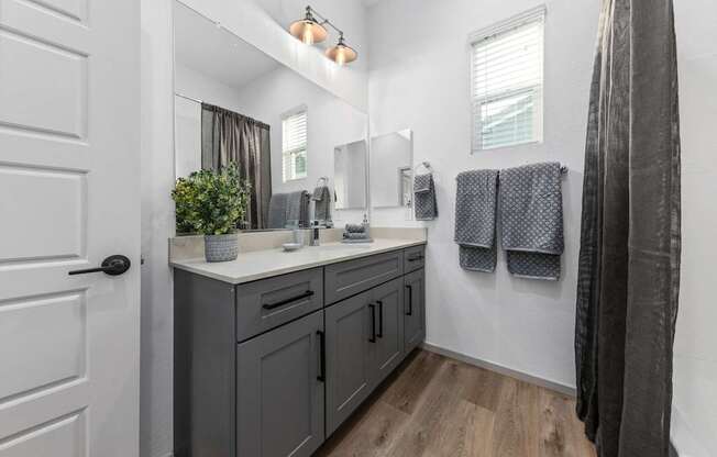 a bathroom with a sink and a mirror and a shower