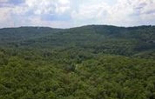 1 bed, 1 bath, 680 sqft, $950, Unit D303