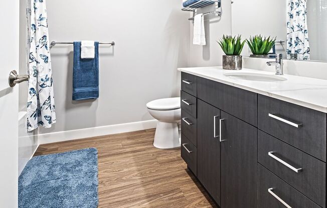 Studio, 1 bath, 460 sqft, $1,695, Unit 328