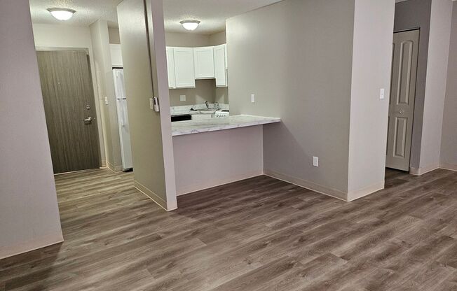 Studio, 1 bath, 480 sqft, $700, Unit 110