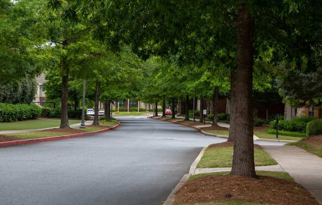 Walton Ridenour Tree Lined Streets