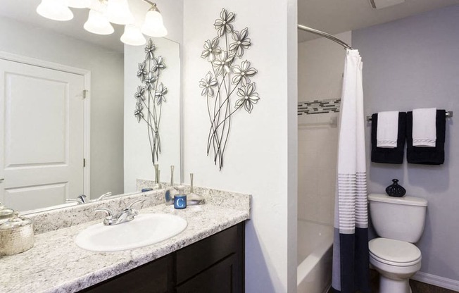 Channelside apartments in Fort Myers, Fl photo of Stylish Cabinetry in Bathroom