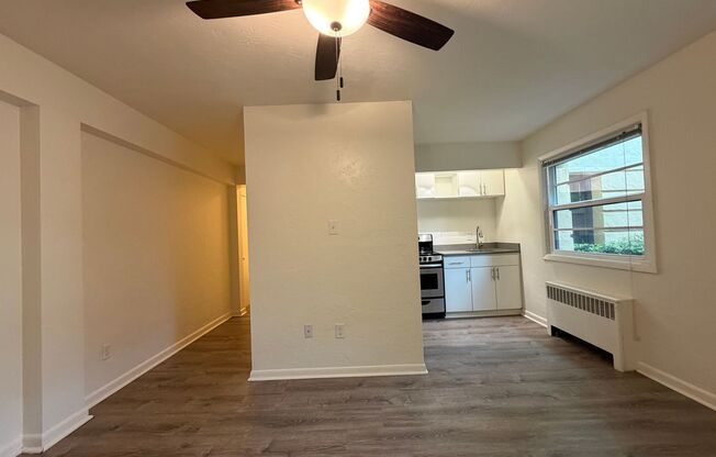 Studio, 1 bath, 374 sqft, $1,150, Unit 102