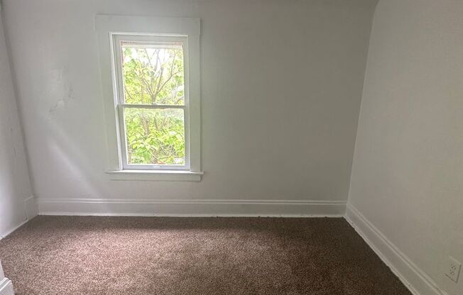 3bd Single Section 8