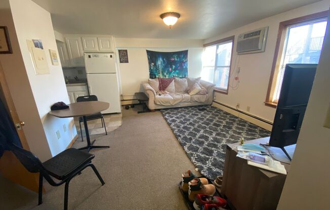 Studio, 1 bath, $1,145