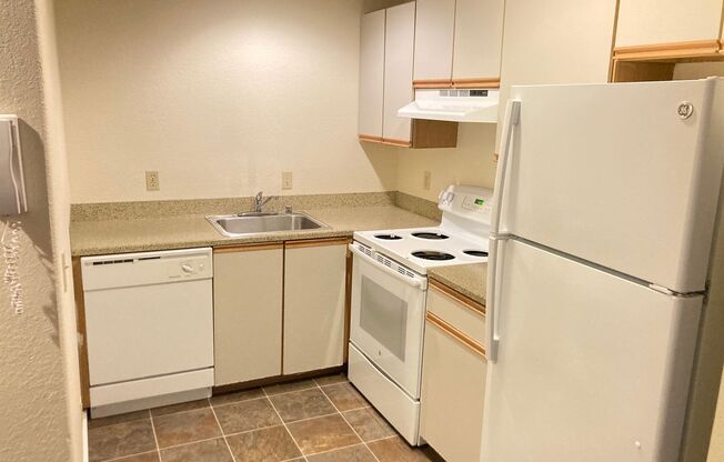 1 bed, 1 bath, 500 sqft, $1,375, Unit 205