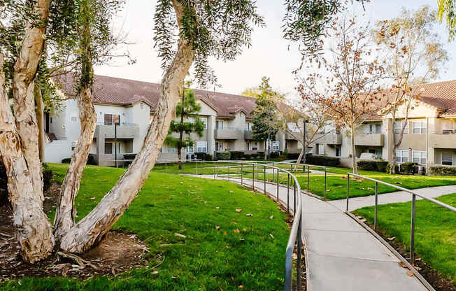 A tree in a grassy area in front of apartment buildings.