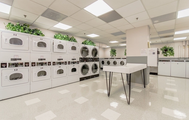 Studio, 1 bath, 650 sqft, $2,800, Unit 16B