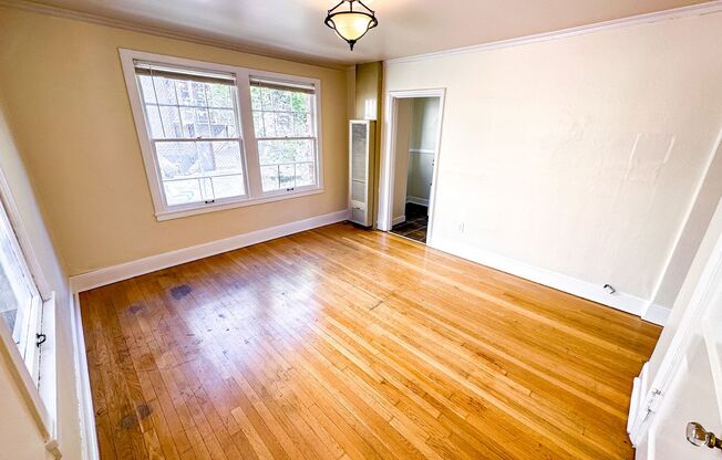 Studio, 1 bath, 365 sqft, $1,295, Unit 312