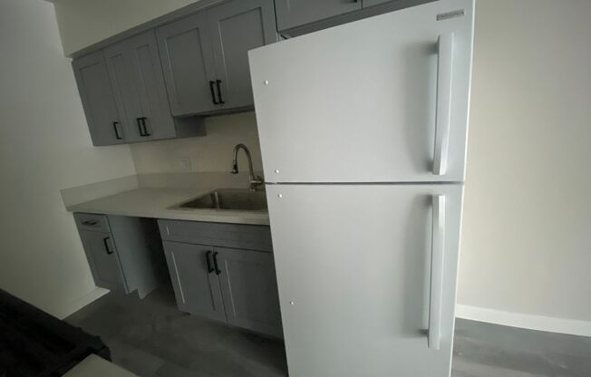 Studio, 1 bath, 550 sqft, $1,750, Unit 304