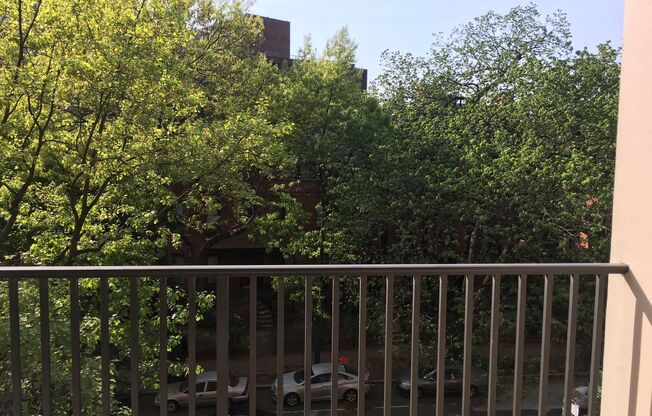 Studio, 1 bath, 460 sqft, $2,800, Unit 0524